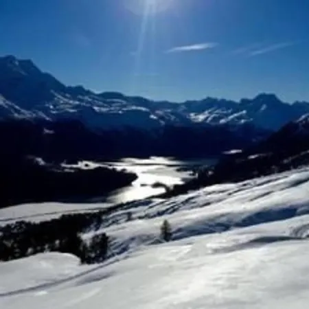 Apartment Chavallera Casa Torri St. Moritz